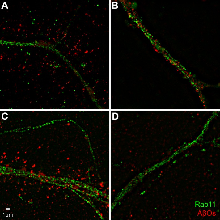 FIGURE 6: