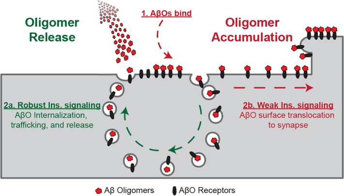 FIGURE 11: