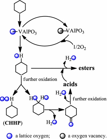 Scheme 1