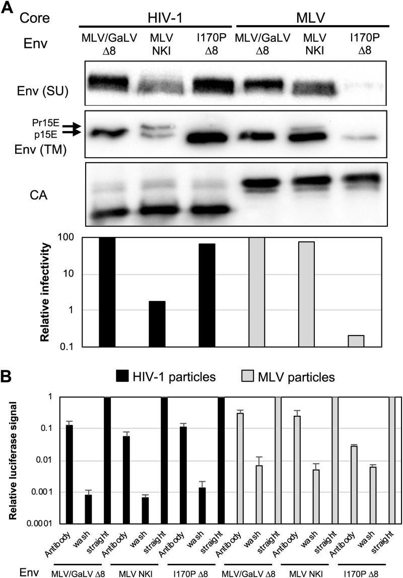 FIG 4