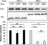 FIG 9