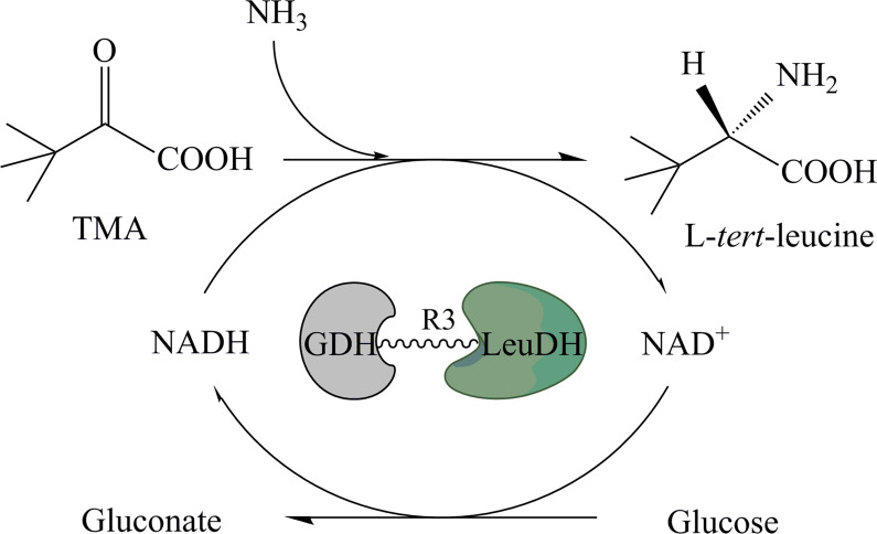 Scheme 1