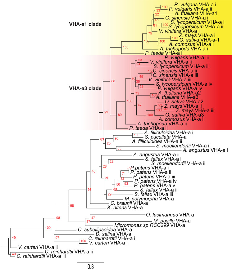 Figure 6—figure supplement 1.