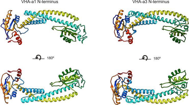 Figure 1—figure supplement 3.