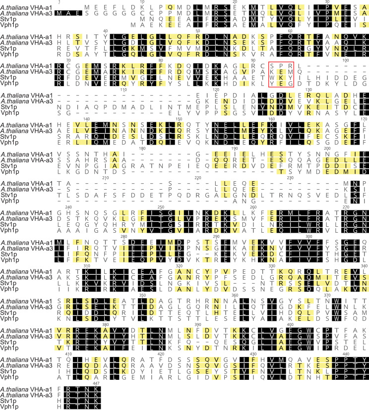 Figure 1—figure supplement 1.