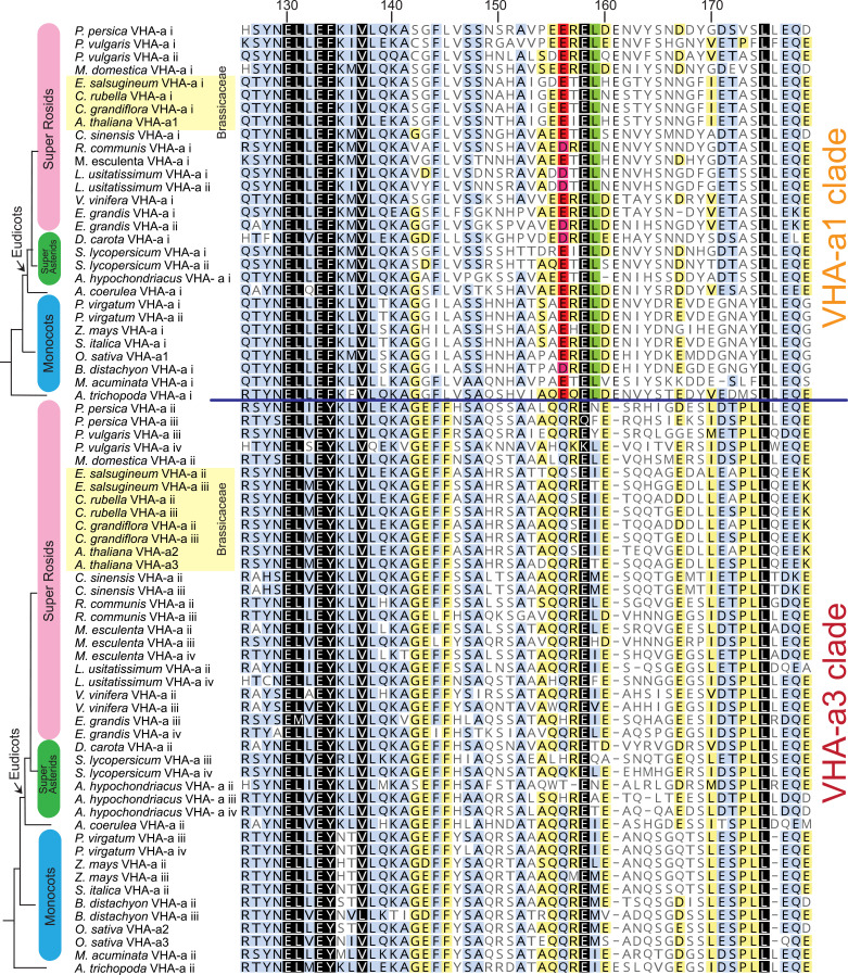 Figure 2—figure supplement 1.