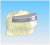 Fig. (4)