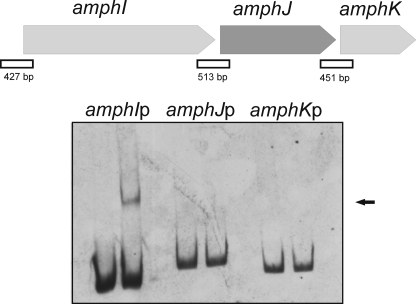 FIGURE 9.