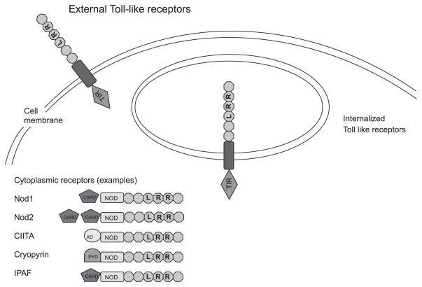 Fig. 1