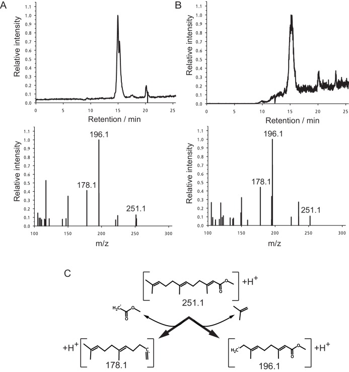 Figure 2—figure supplement 1.