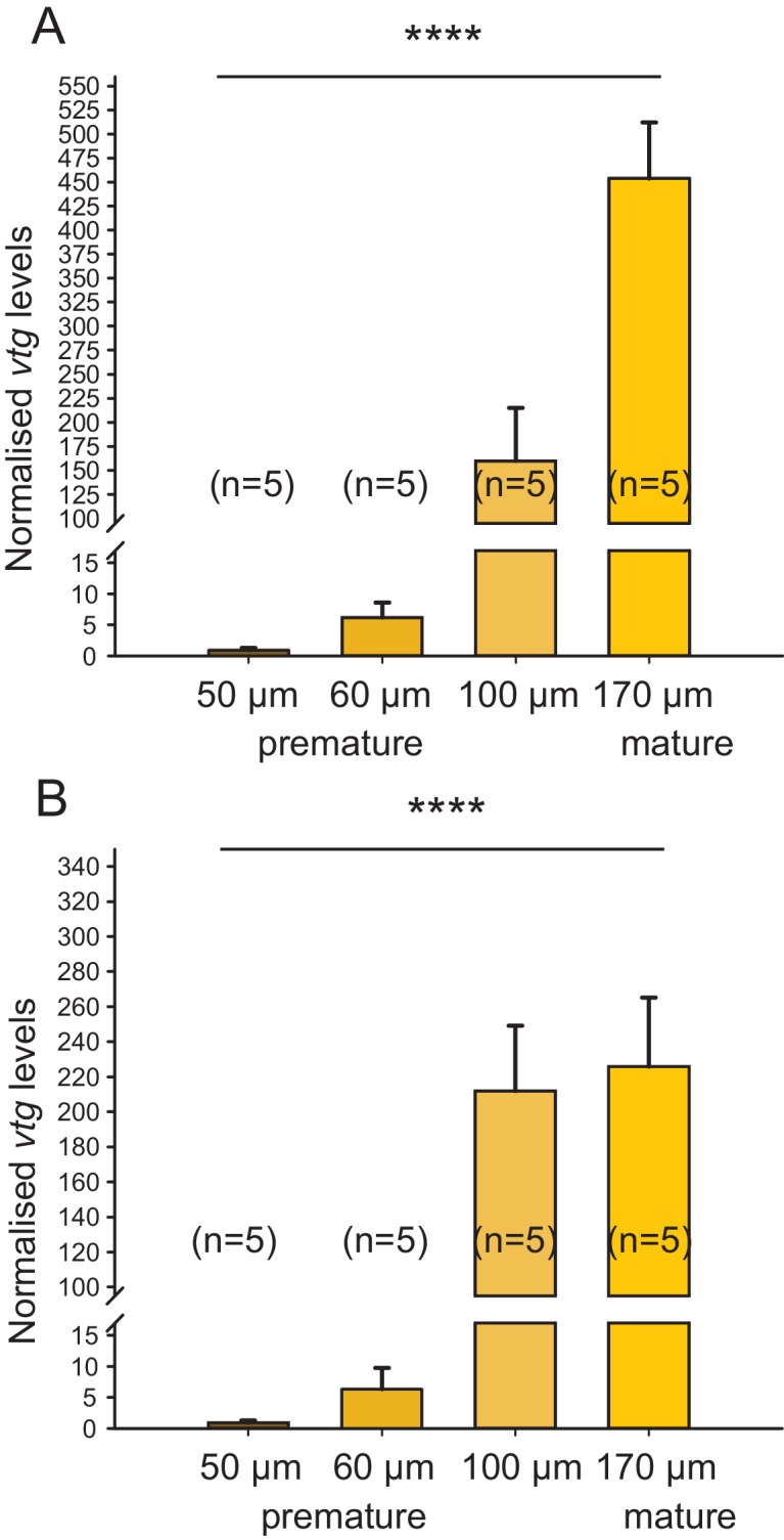 Figure 1—figure supplement 2.