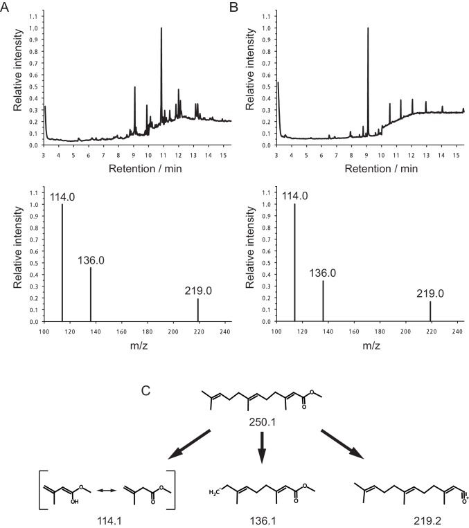 Figure 3—figure supplement 1.