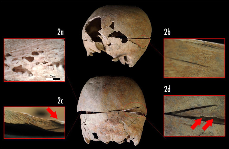 Fig. 2