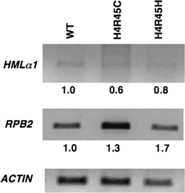 Figure 5.