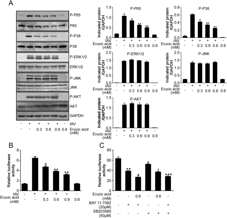 Fig. 3