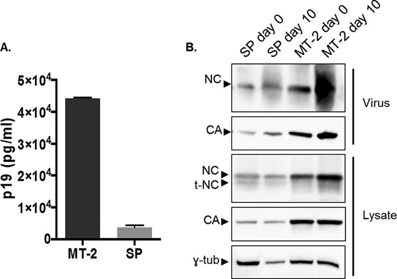 FIG 3