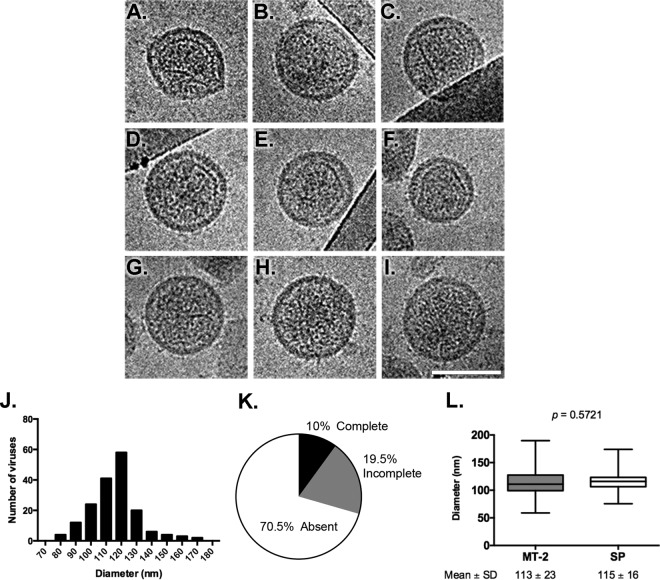 FIG 4