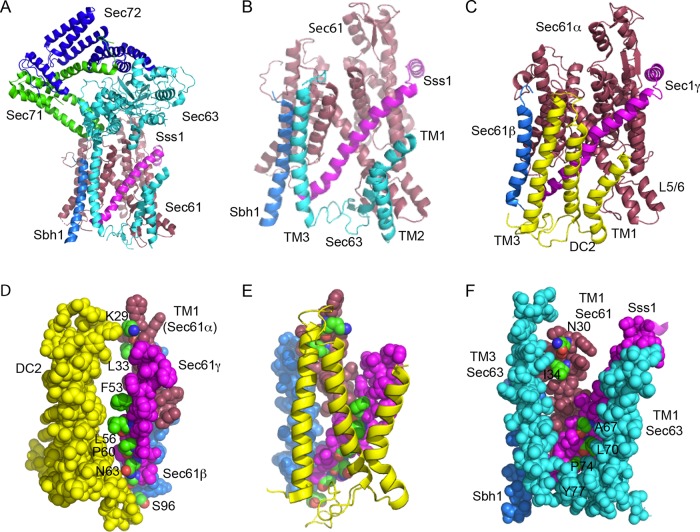 FIGURE 1: