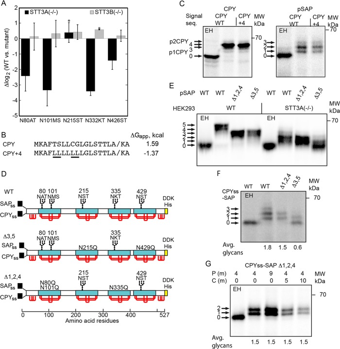 FIGURE 3: