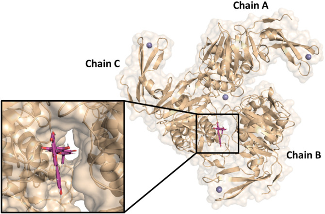 Fig. 7