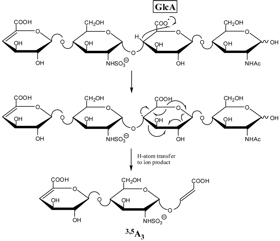 Scheme 8