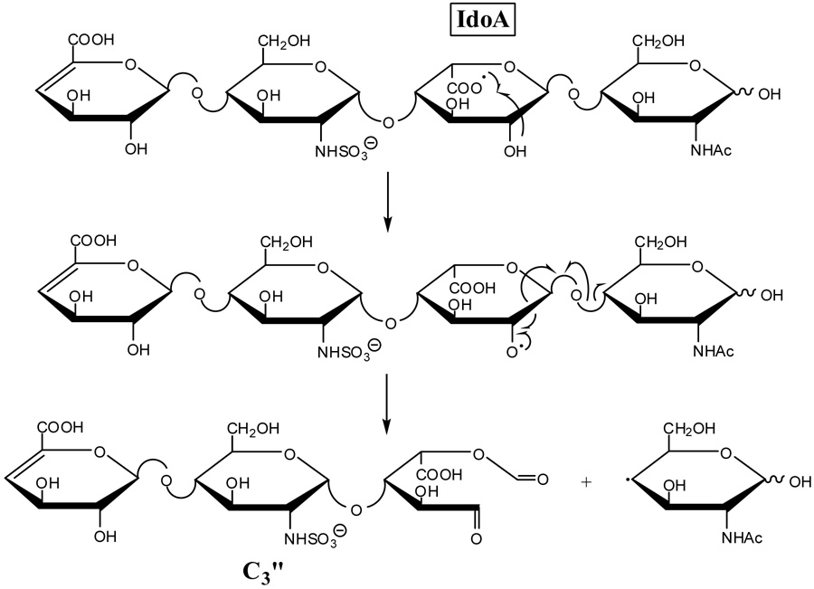 Scheme 5