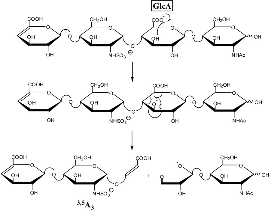 Scheme 7