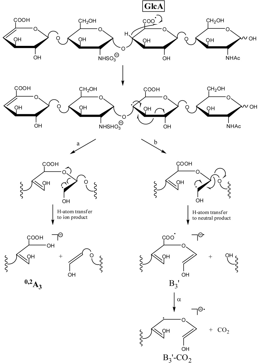 Scheme 4