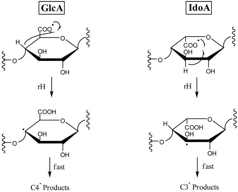 Scheme 2