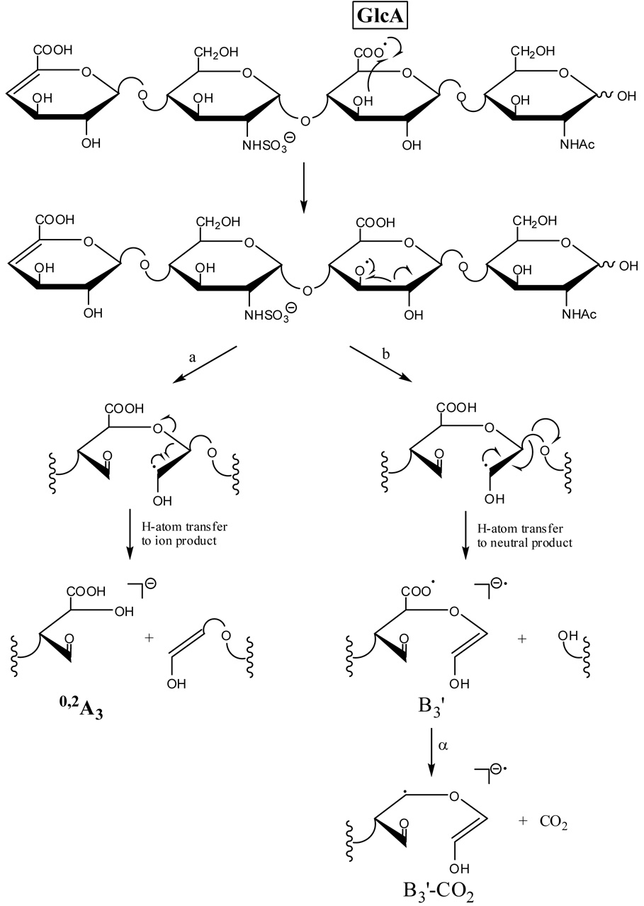 Scheme 3