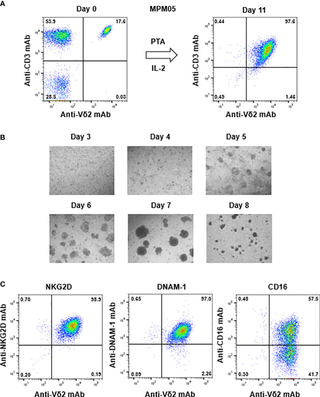 Figure 4