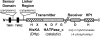 FIG. 2.