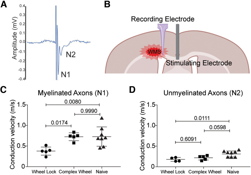 Figure 6.