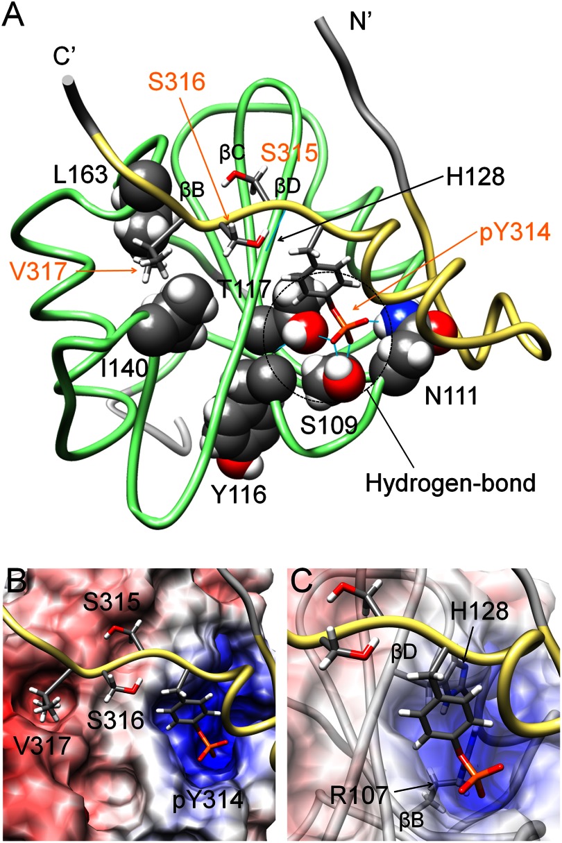 FIGURE 4.