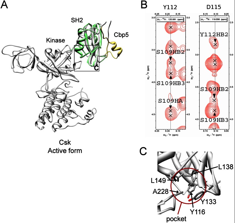 FIGURE 9.