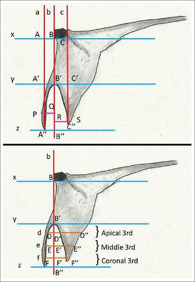 Figure 12