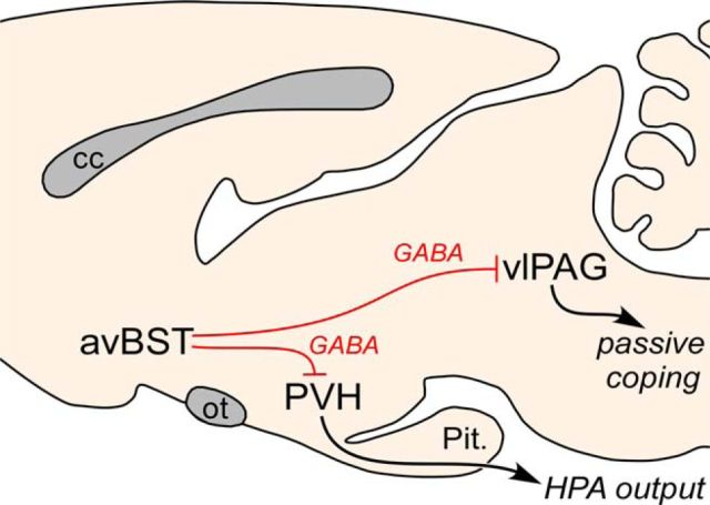 Figure 10.