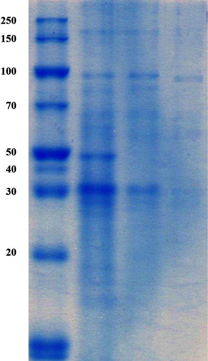 Fig. 3