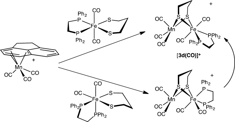 Scheme 5