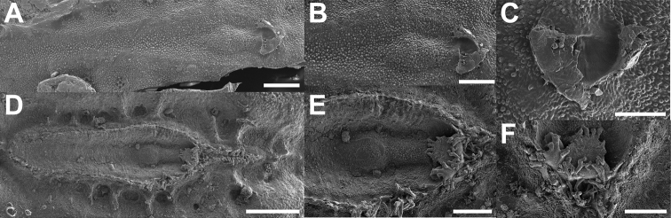 Figure 16.