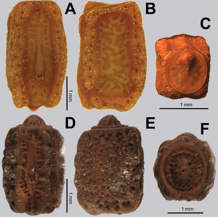 Figure 15.