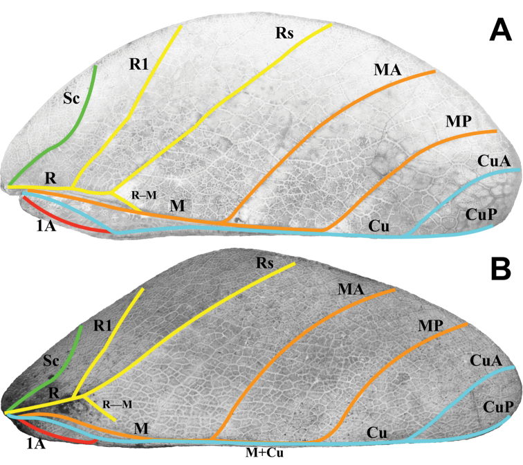 Figure 10.