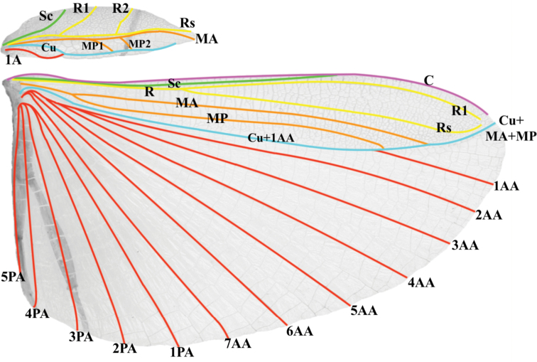 Figure 14.