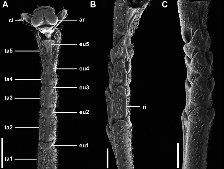 Figure 12.