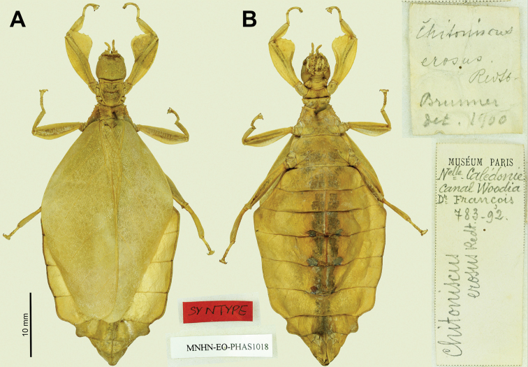 Figure 26.