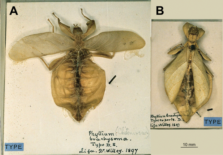 Figure 22.