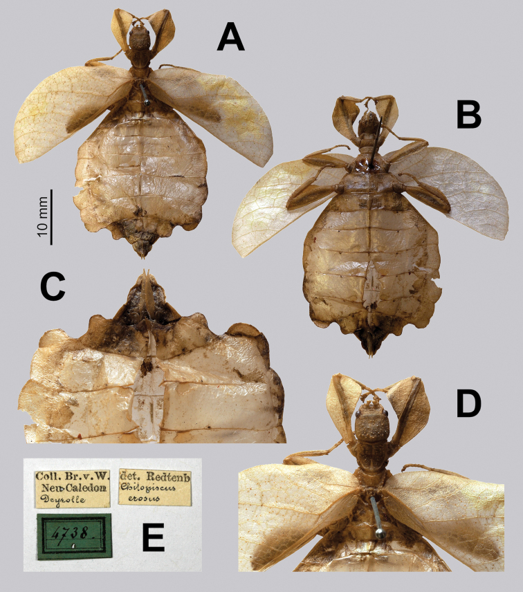 Figure 27.