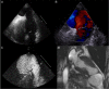 Figure 1: