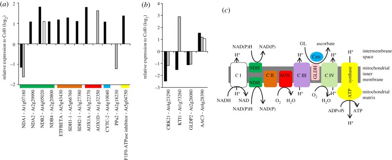 Figure 4.