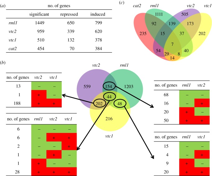 Figure 2.